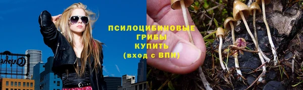 трава Алексин